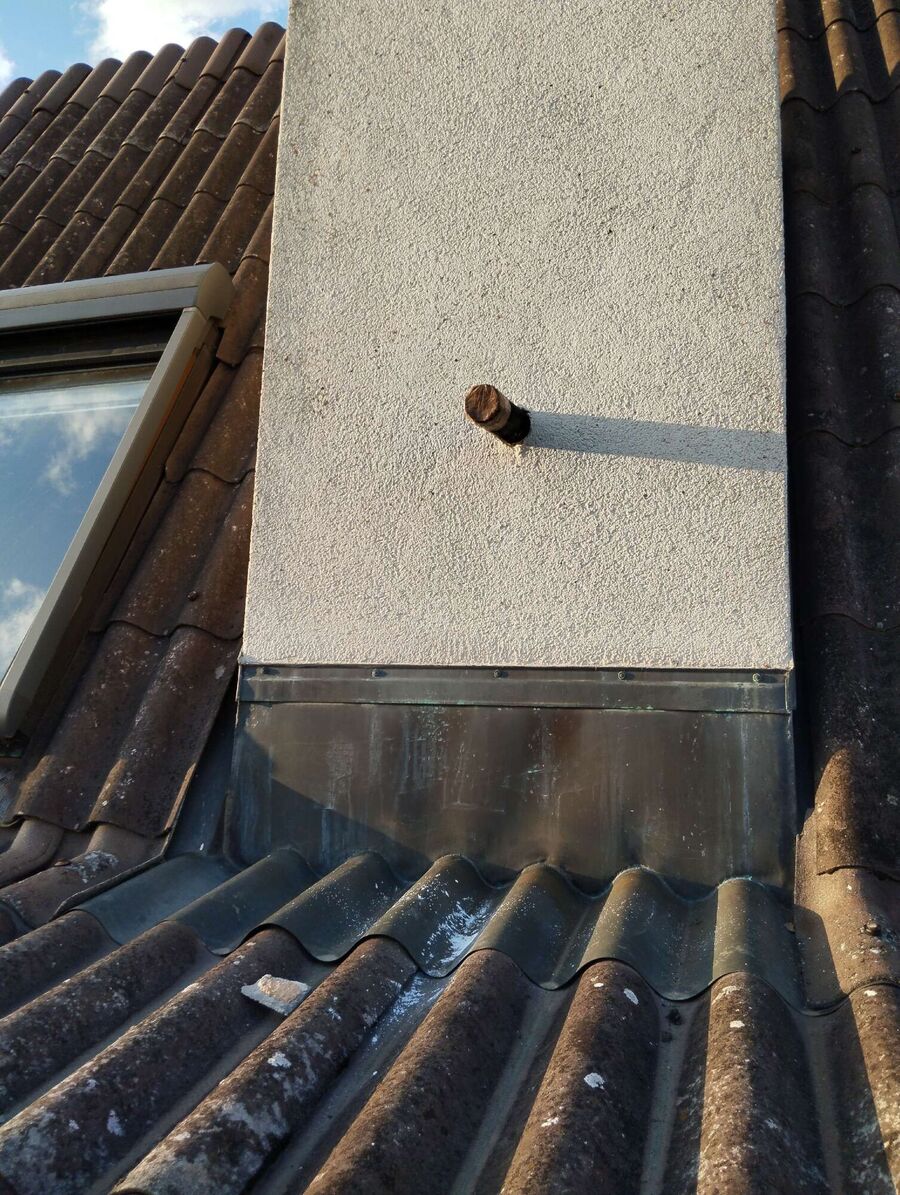  Bienennest entfernen