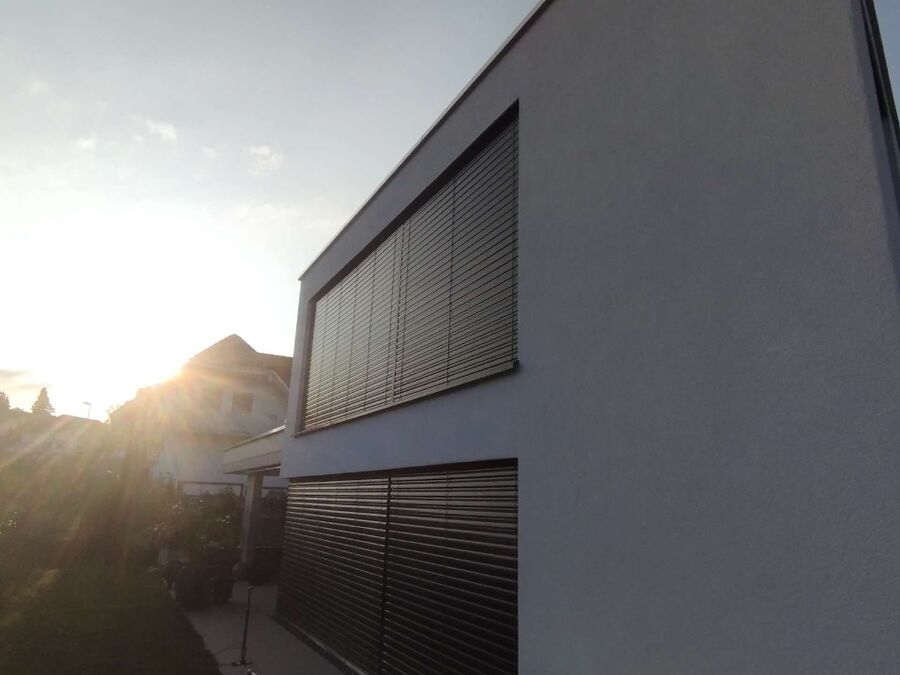  Bienennest entfernen