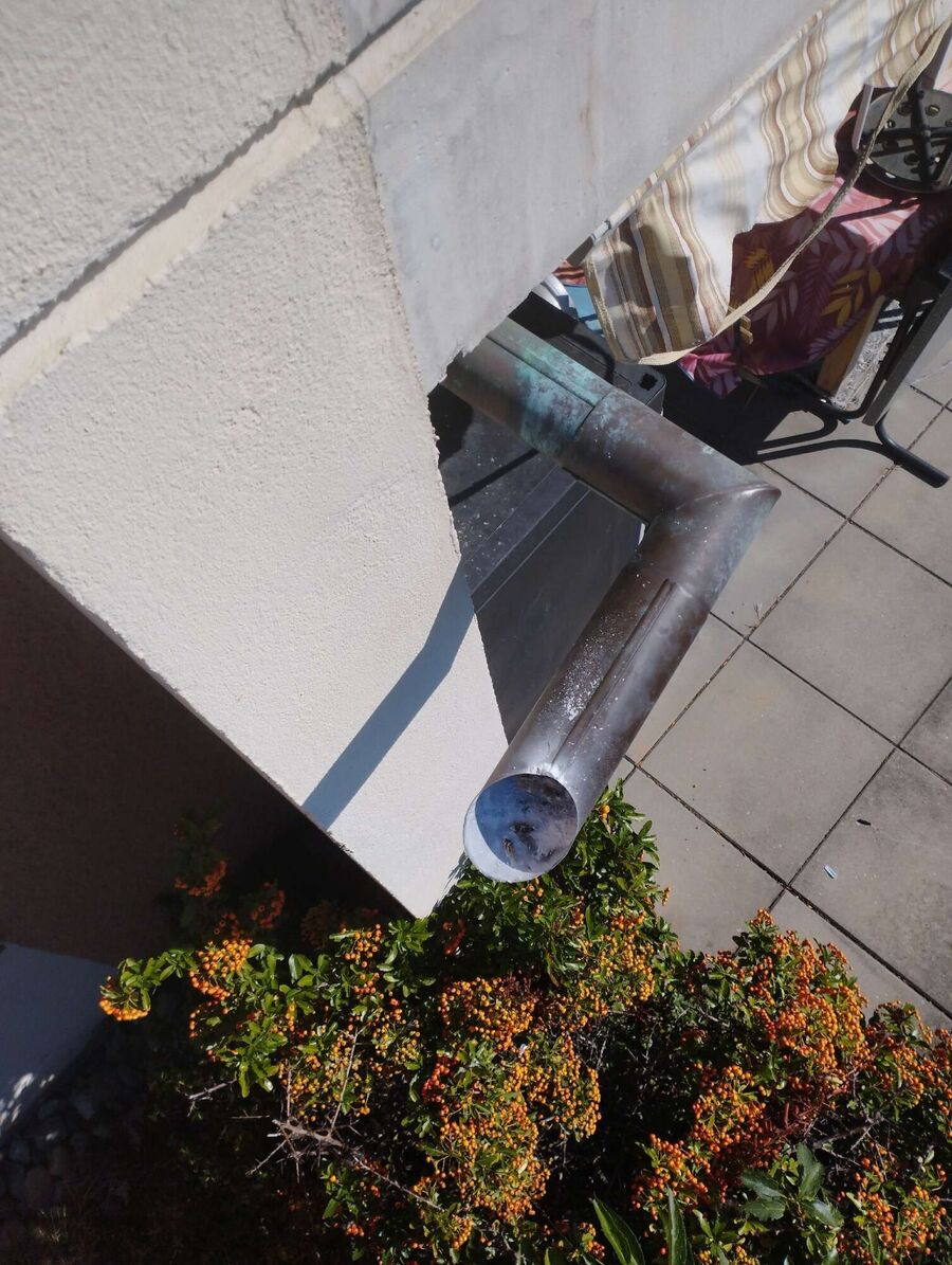  Bienennest entfernen