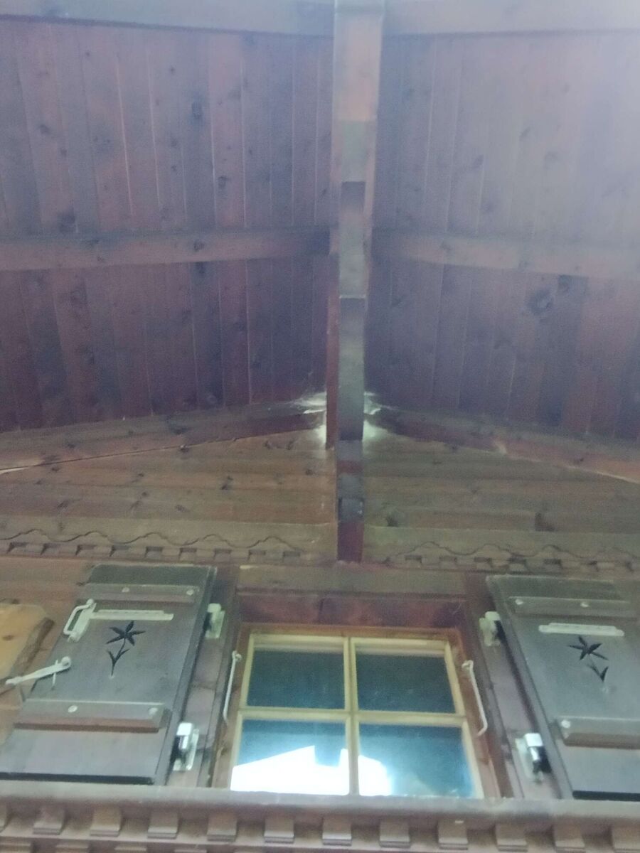 Bienen umsiedeln &  Bienennest entfernen 