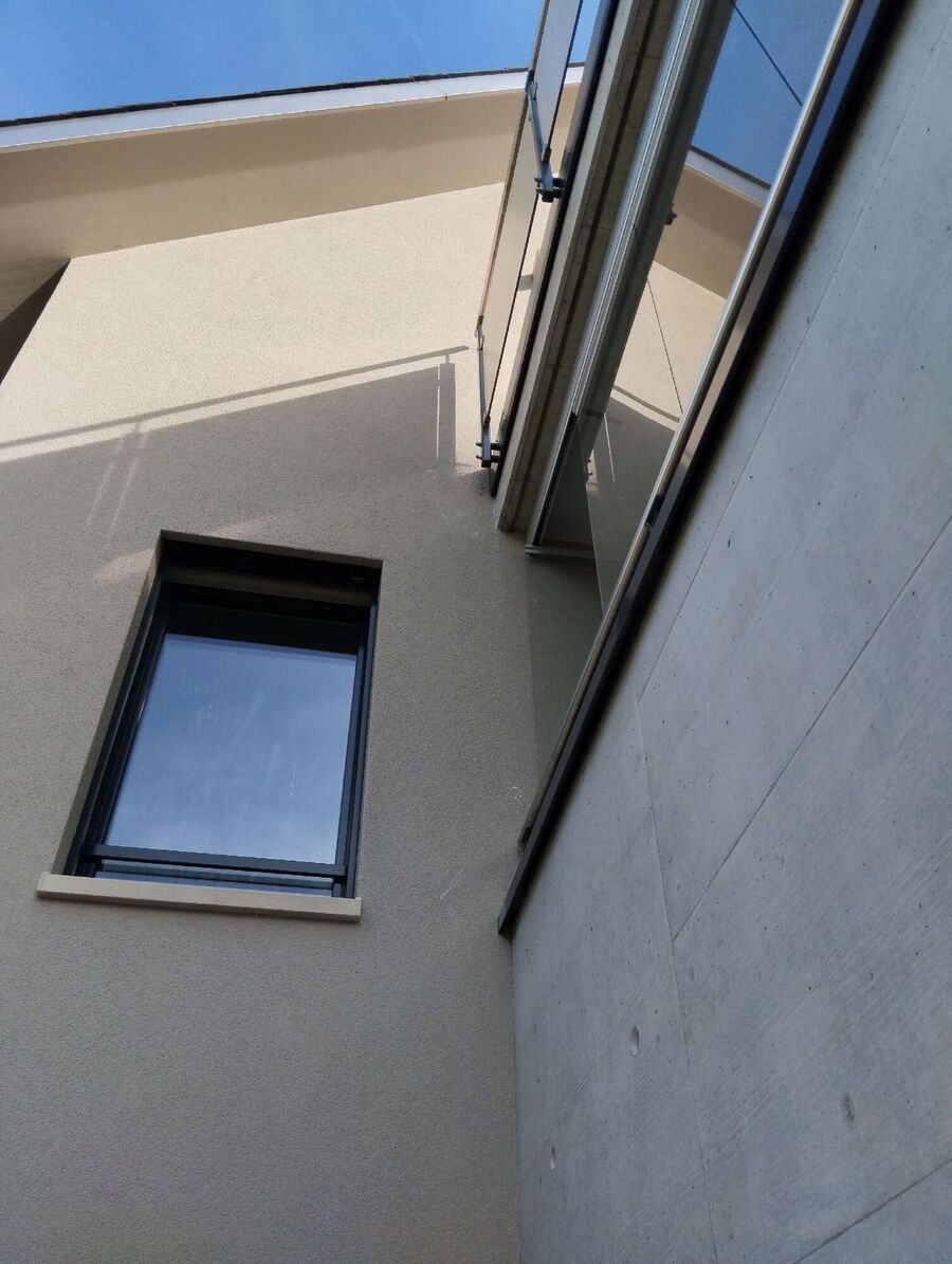  Bienennest entfernen.jpeg