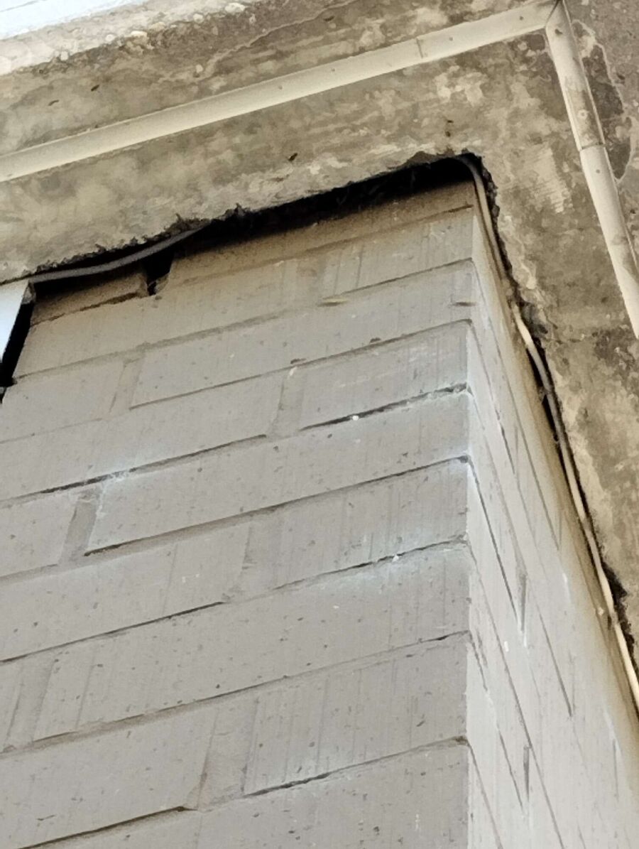  Bienennest entfernen