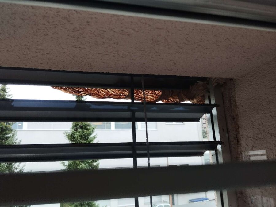  Bienennest entfernen