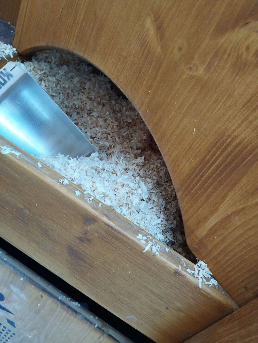 Bienen umsiedeln &  Bienennest entfernen 