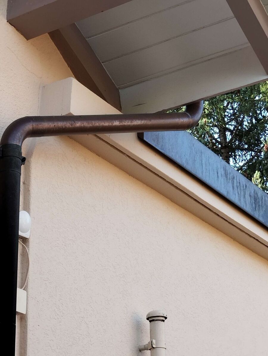  Bienennest entfernen.jpeg