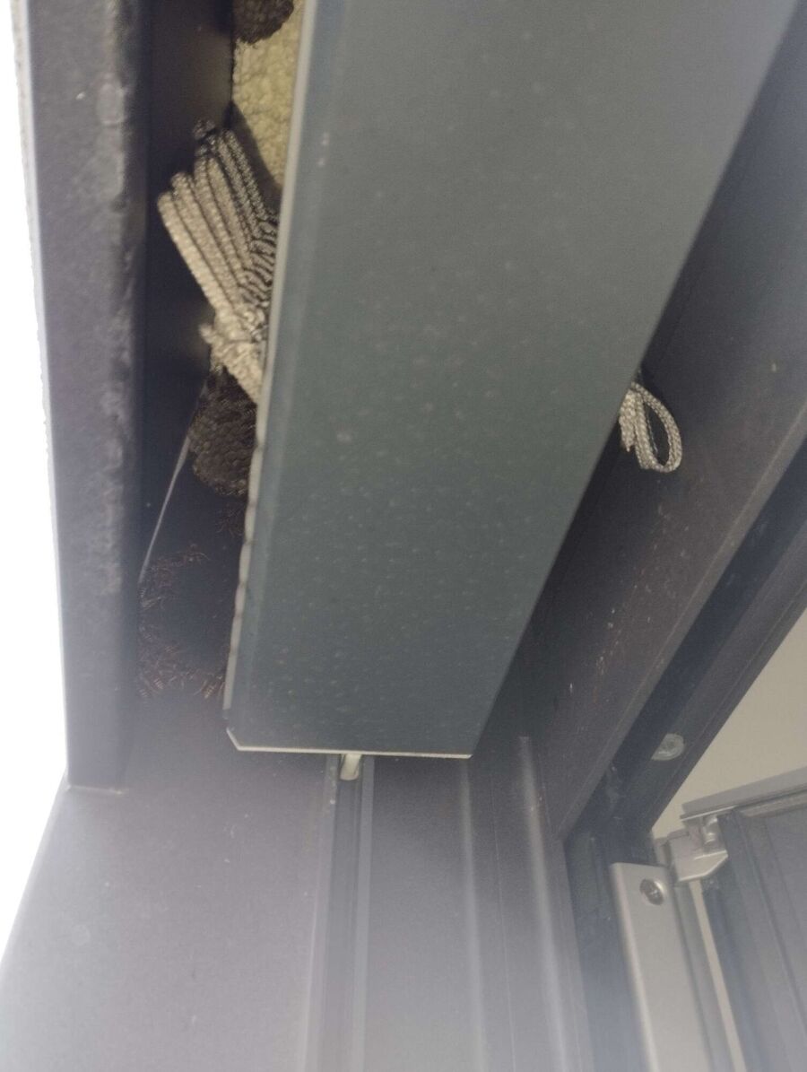  Bienennest entfernen.jpeg