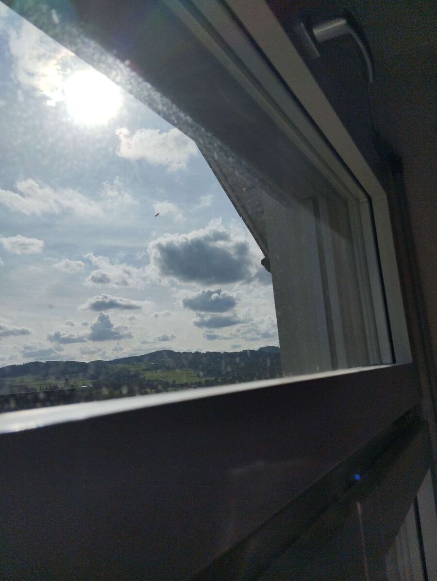  Bienennest entfernen