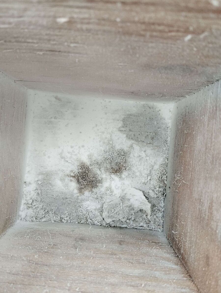  Bienennest entfernen.jpeg