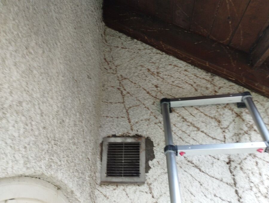  Bienennest entfernen