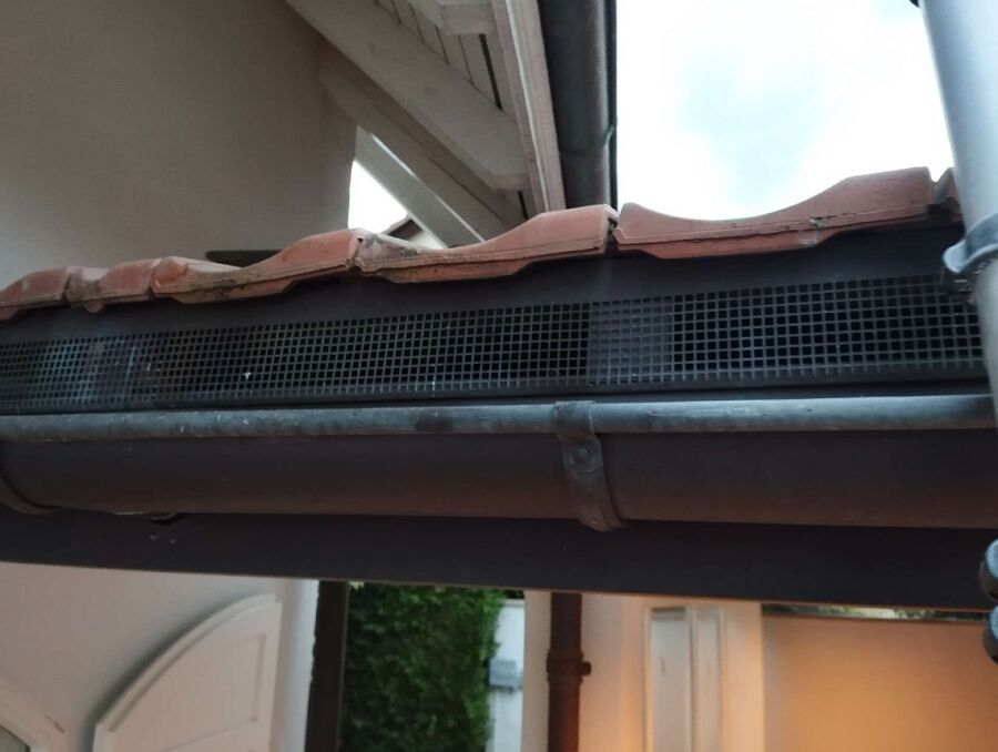  Bienennest entfernen