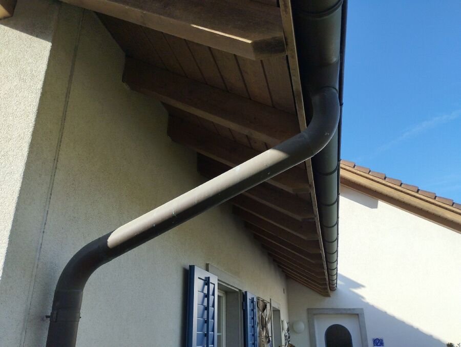 Bienen umsiedeln &  Bienennest entfernen 