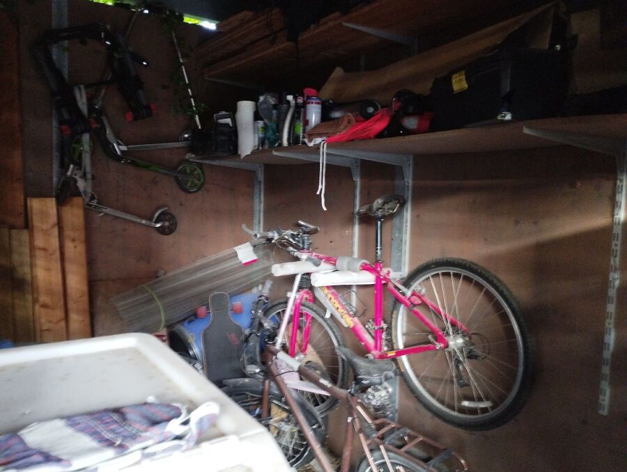  Bienennest entfernen.jpeg