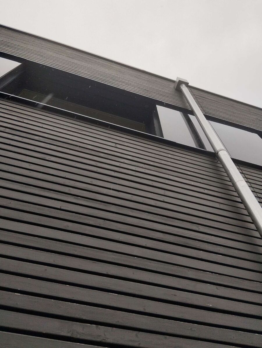  Bienennest entfernen