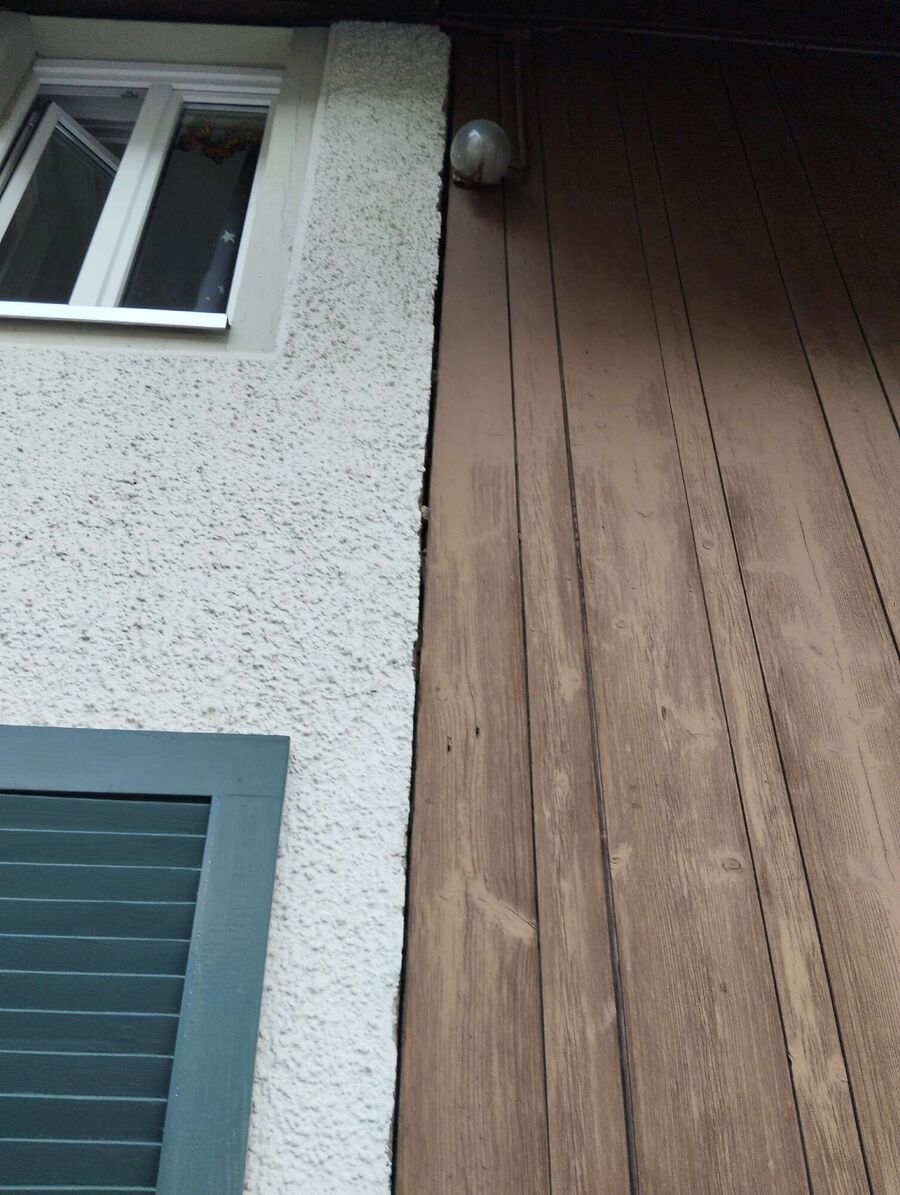  Bienennest entfernen