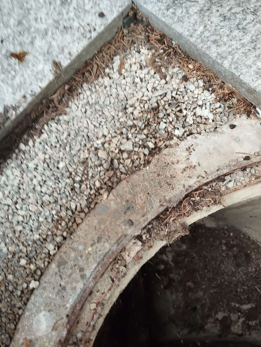  Bienennest entfernen