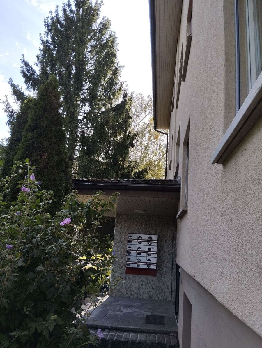  Bienennest entfernen