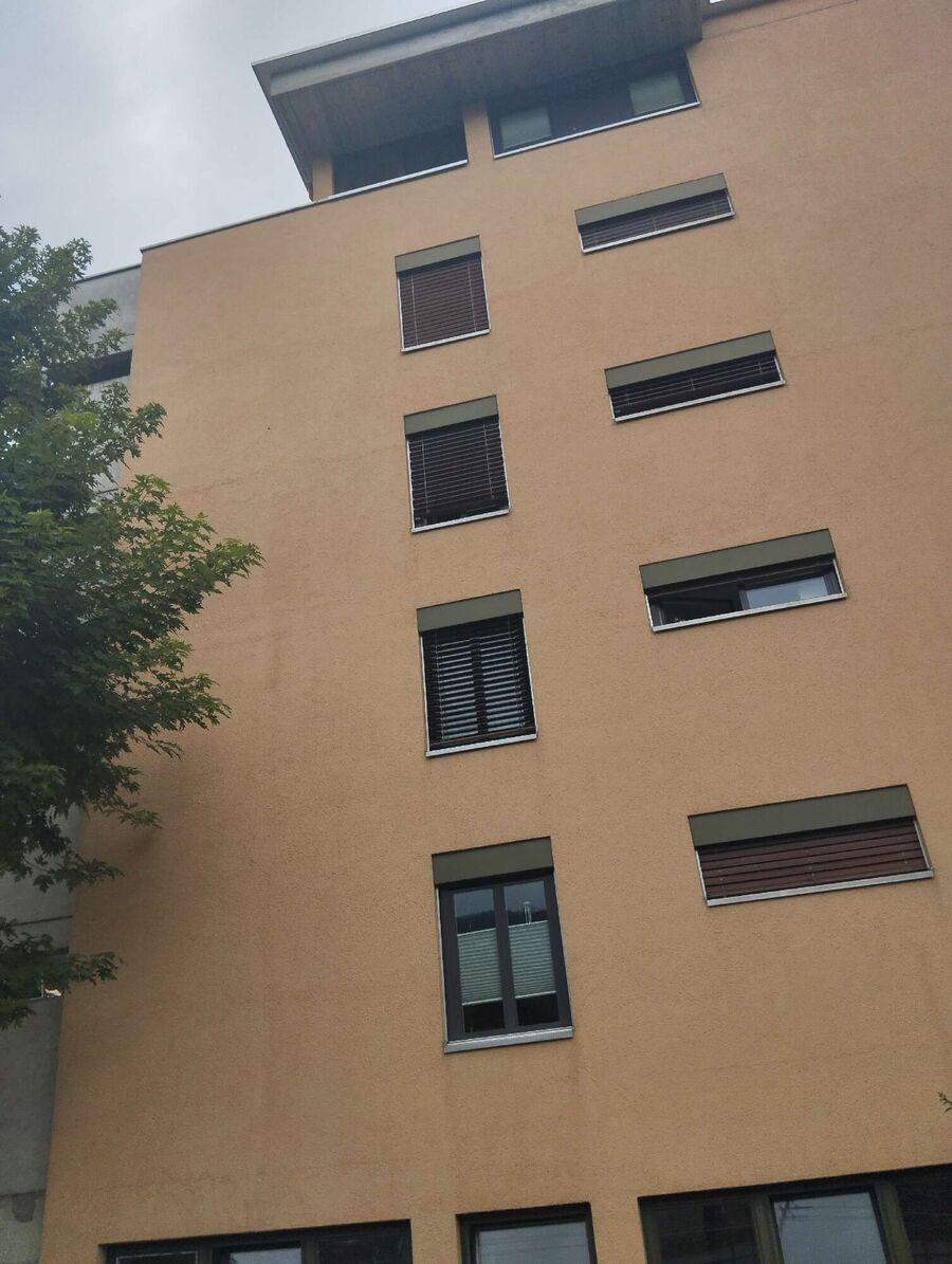  Bienennest entfernen