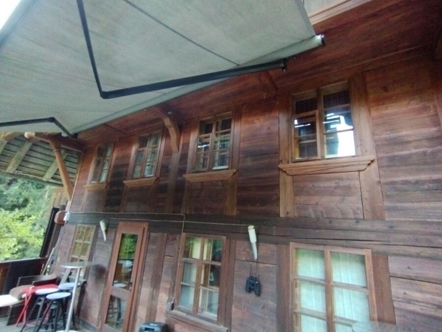 Bienen umsiedeln &  Bienennest entfernen 