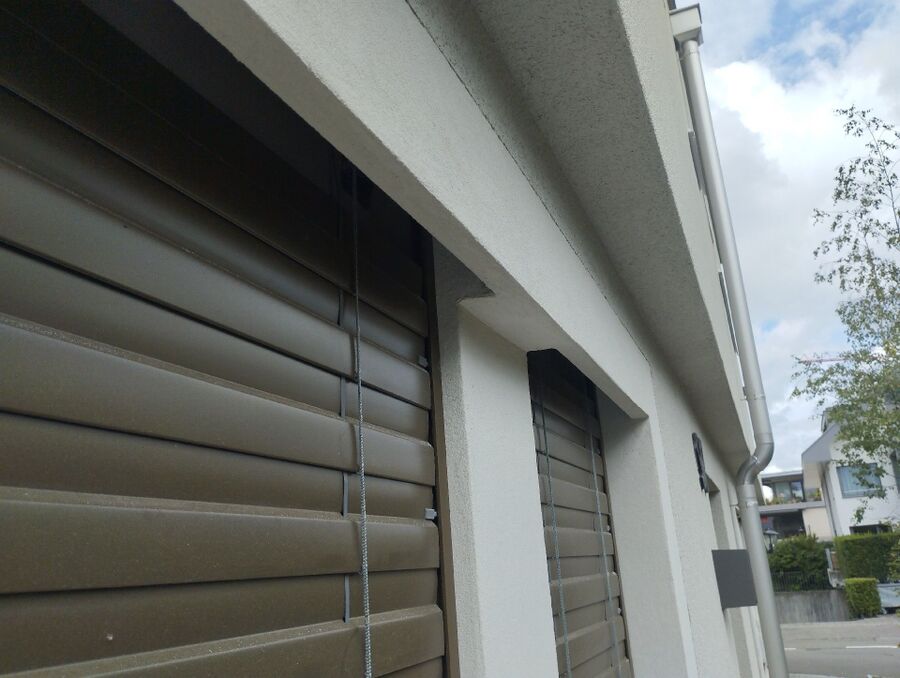 Bienen umsiedeln &  Bienennest entfernen 