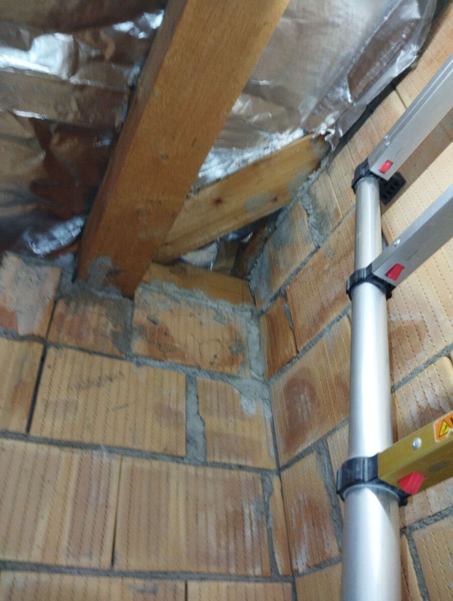 Bienen umsiedeln &  Bienennest entfernen 