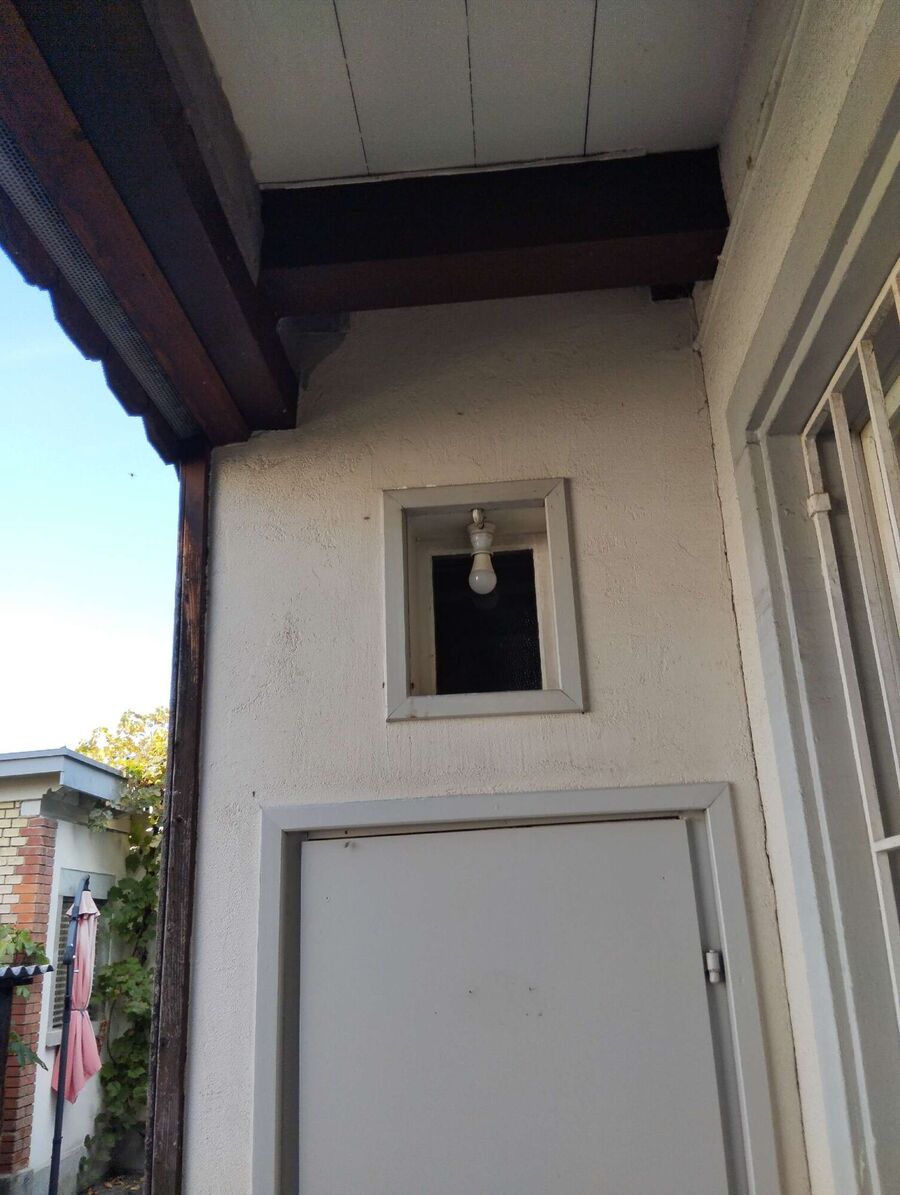  Bienennest entfernen