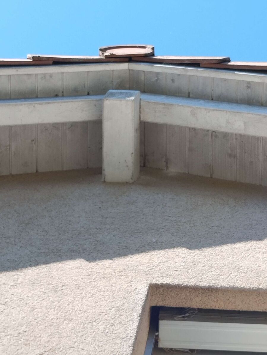  Bienennest entfernen.jpeg