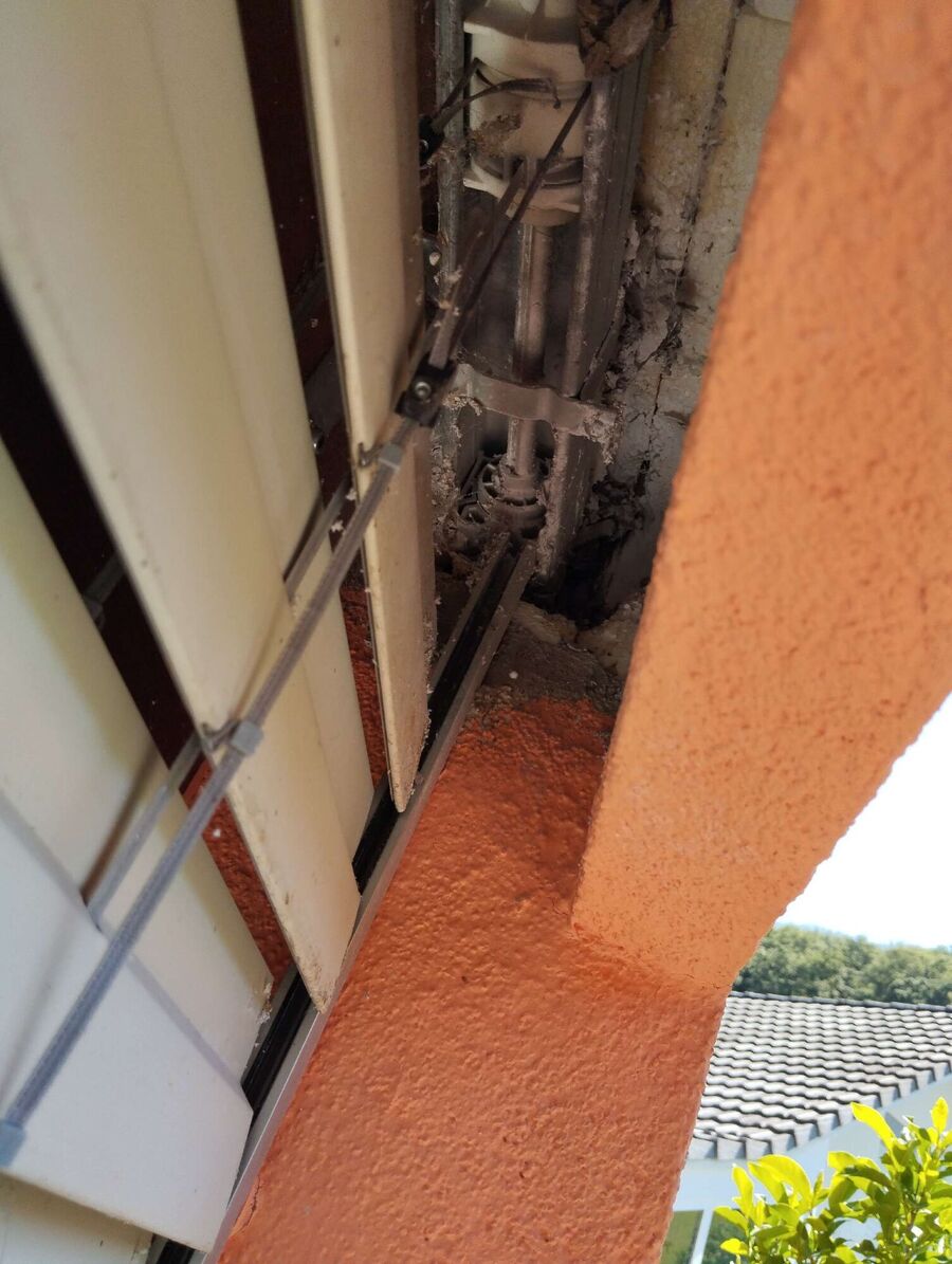 Bienen umsiedeln &  Bienennest entfernen 