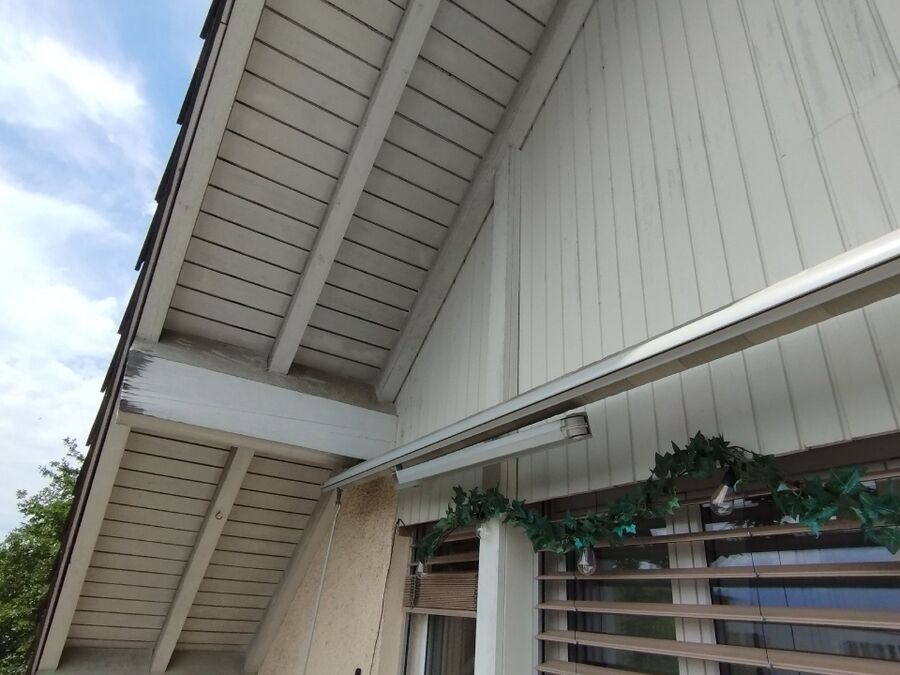  Bienennest entfernen