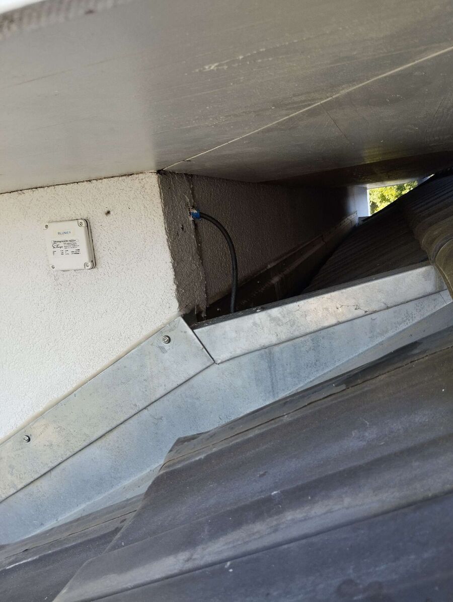  Bienennest entfernen.jpeg