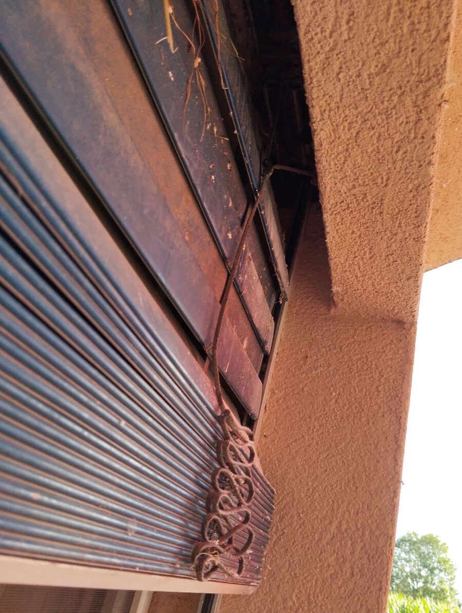  Bienennest entfernen