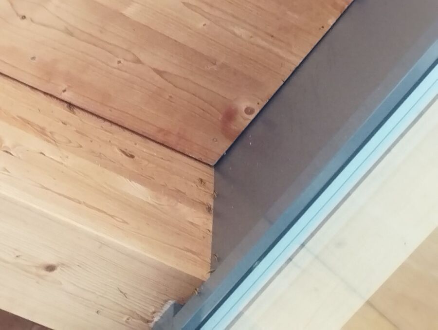 Bienen umsiedeln &  Bienennest entfernen 