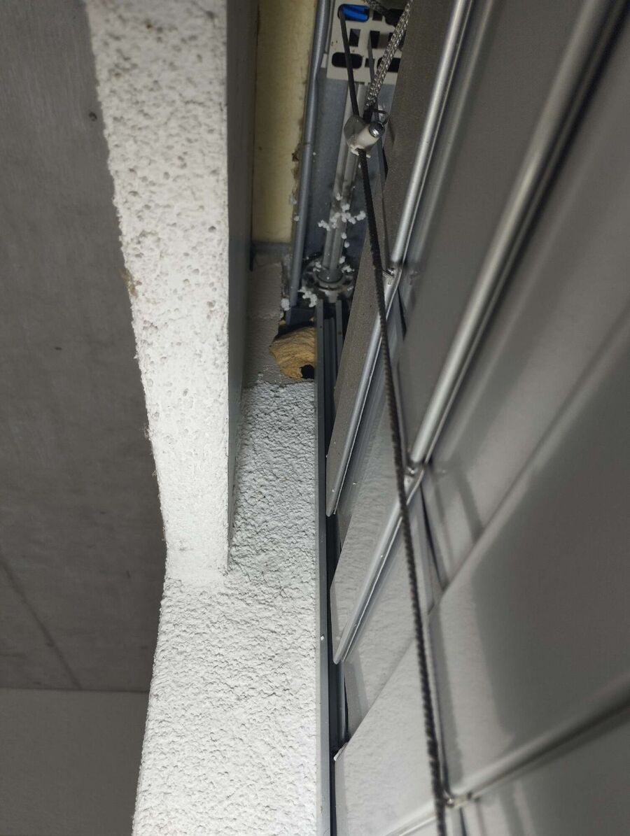  Bienennest entfernen.jpeg