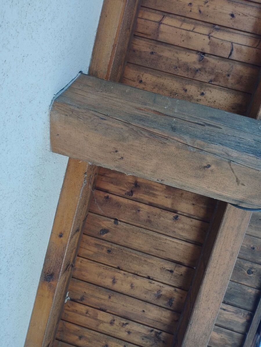  Bienennest entfernen.jpeg