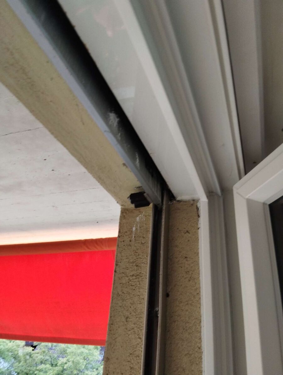 Bienen umsiedeln &  Bienennest entfernen 