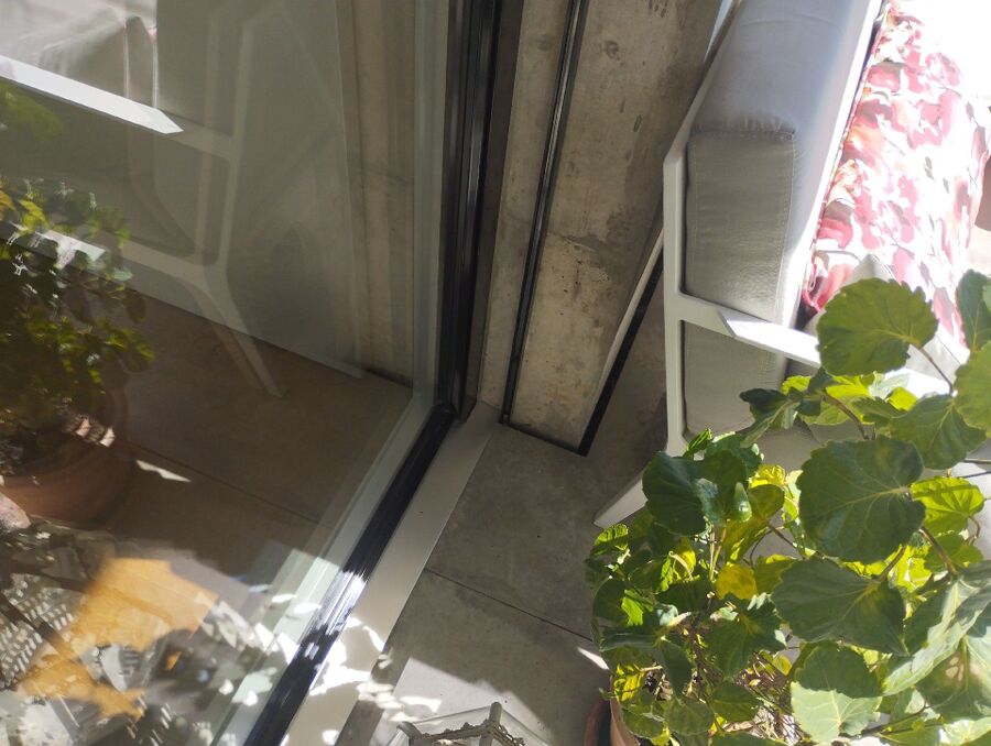  Bienennest entfernen.jpeg