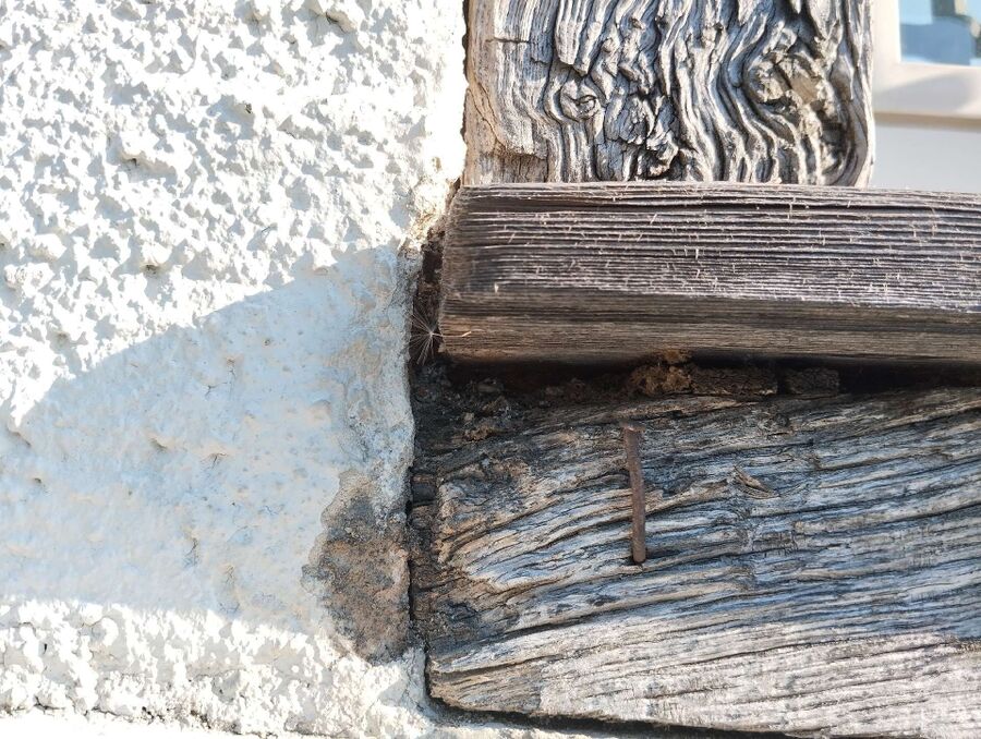  Bienennest entfernen.jpeg