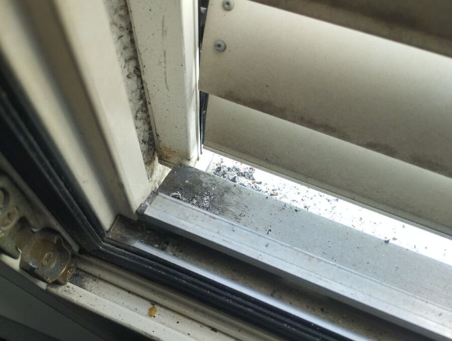  Bienennest entfernen