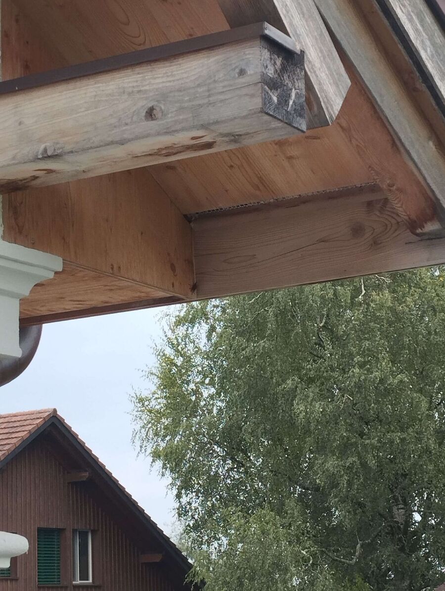  Bienennest entfernen.jpeg