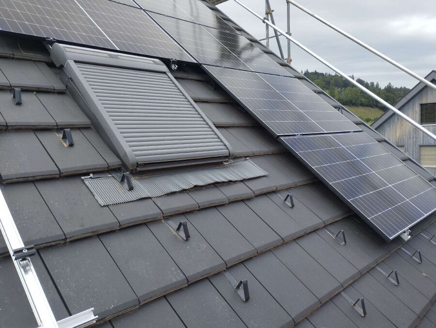  Bienennest entfernen