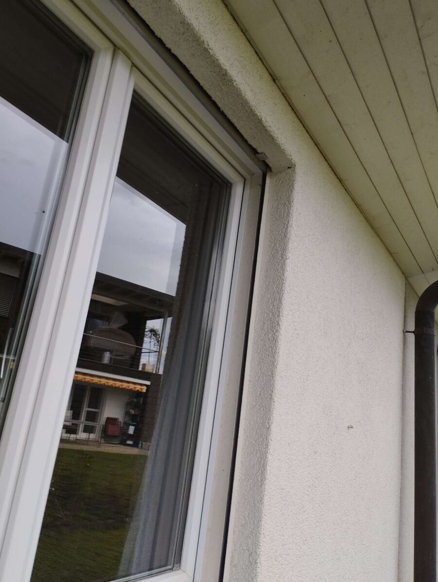 Bienen umsiedeln &  Bienennest entfernen 