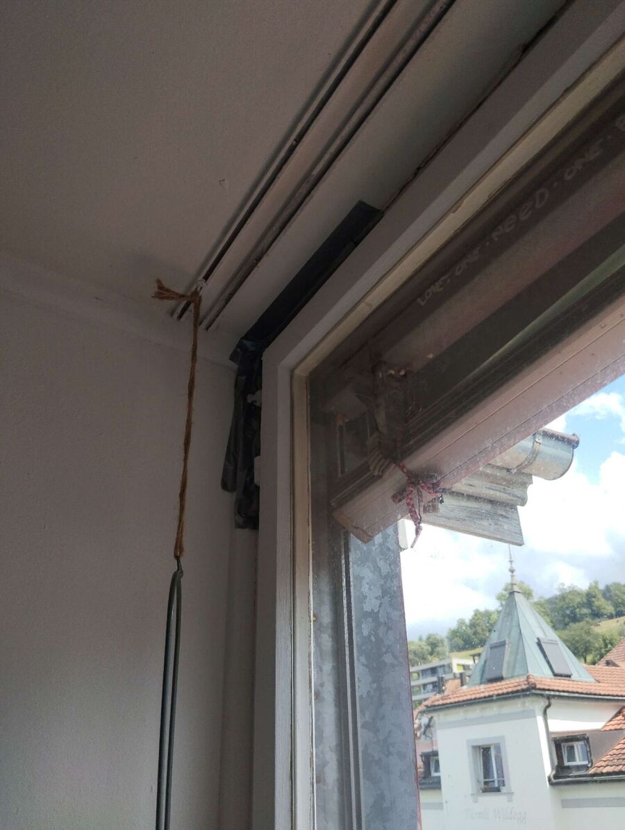  Bienennest entfernen.jpeg