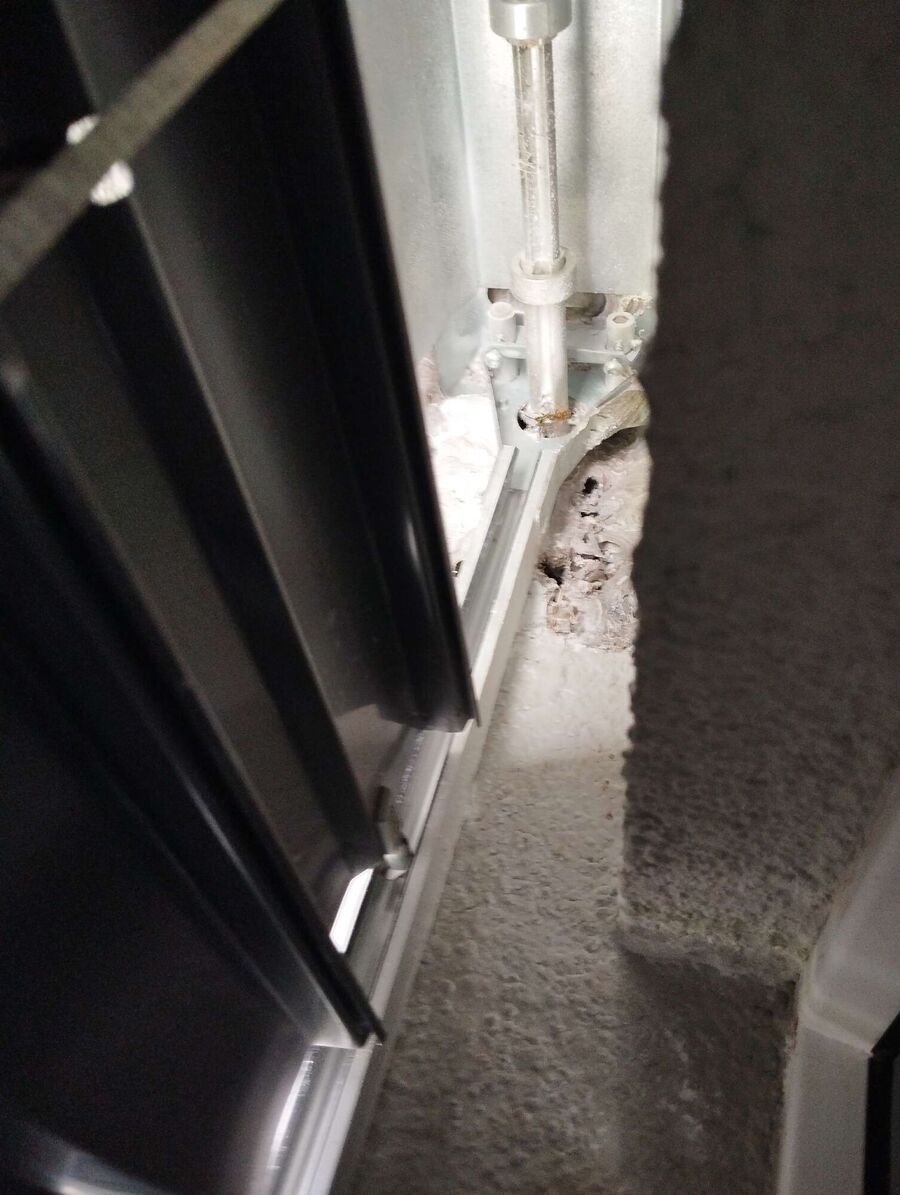  Bienennest entfernen.jpeg