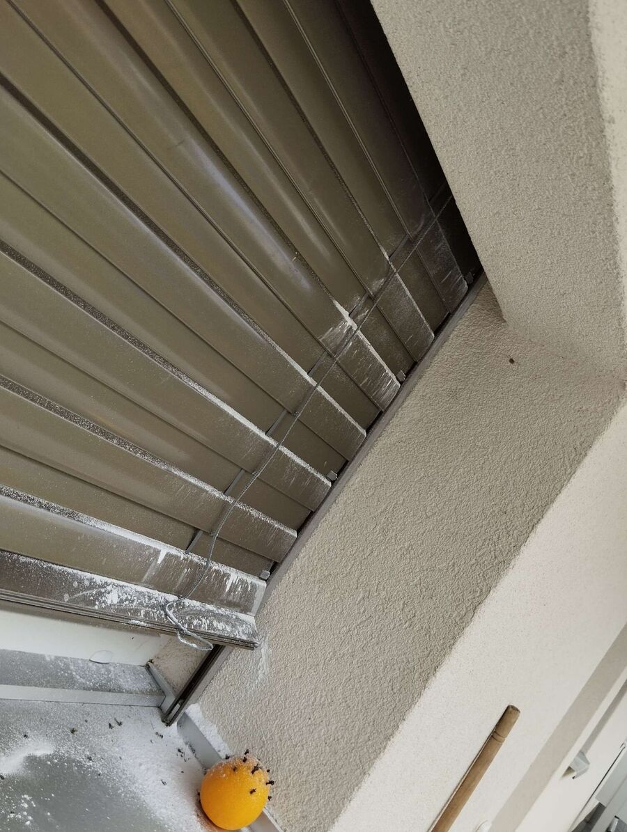  Bienennest entfernen