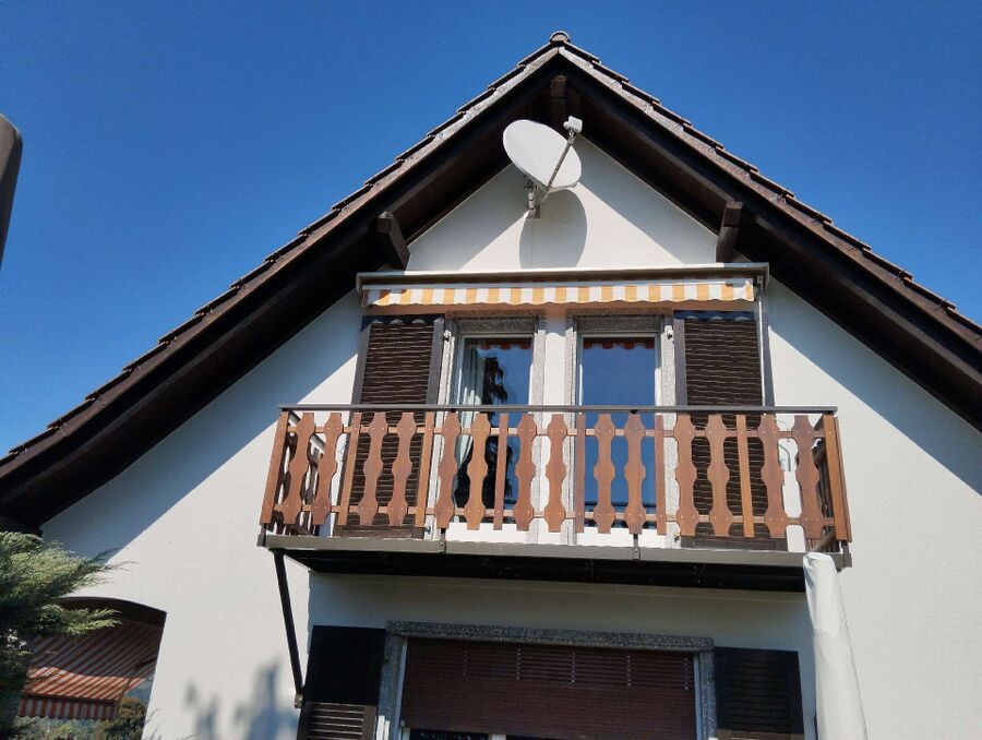  Bienennest entfernen