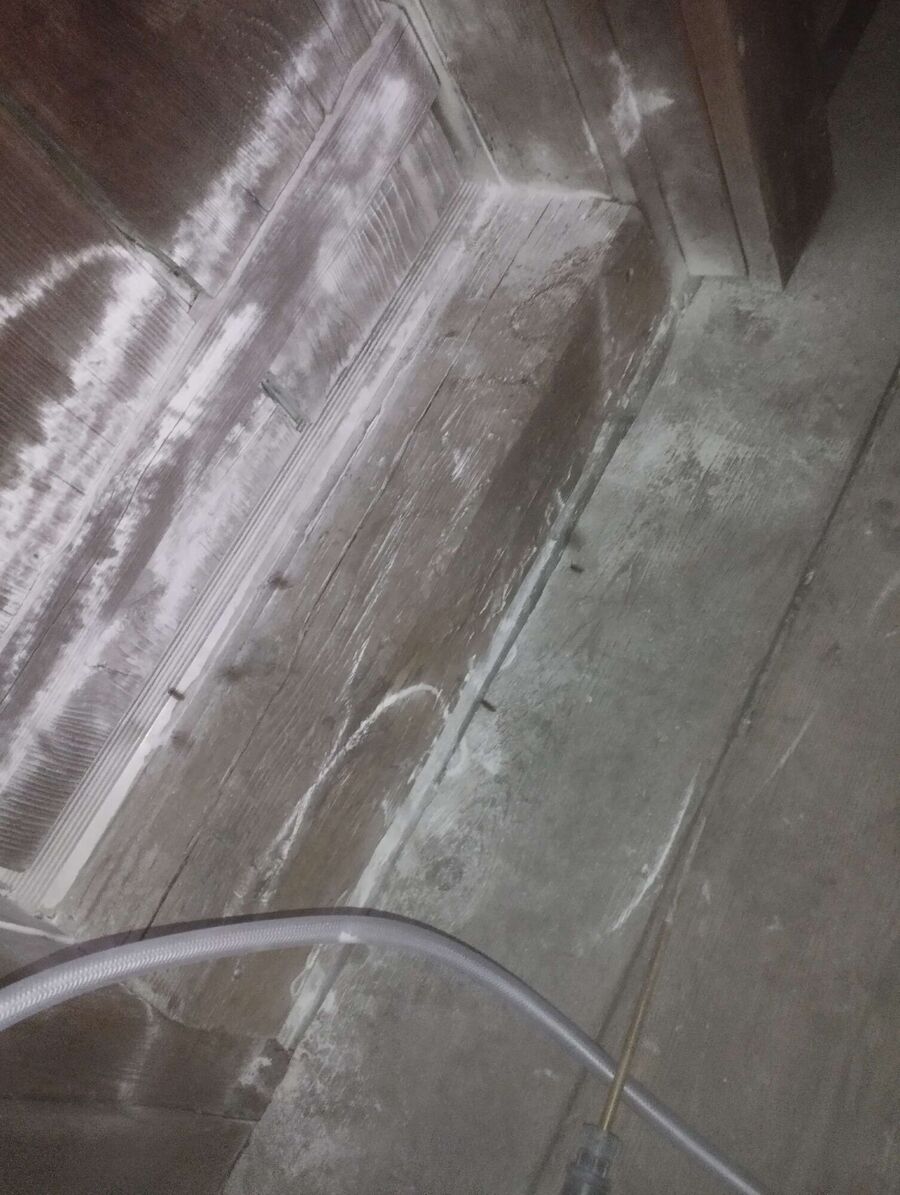  Bienennest entfernen.jpeg