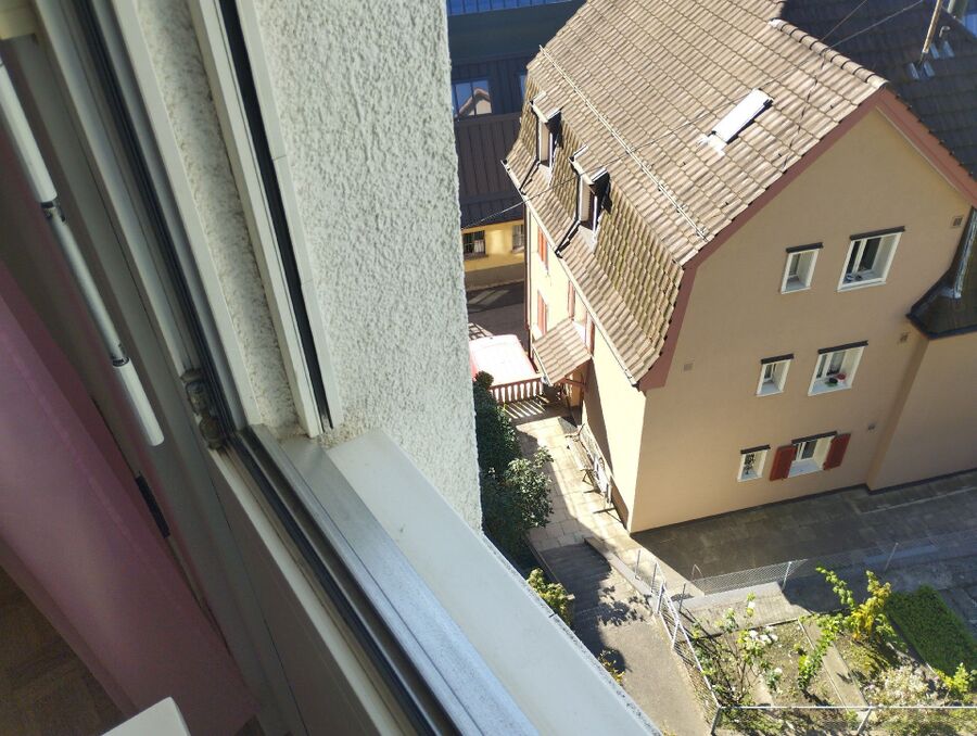 Bienen umsiedeln &  Bienennest entfernen 