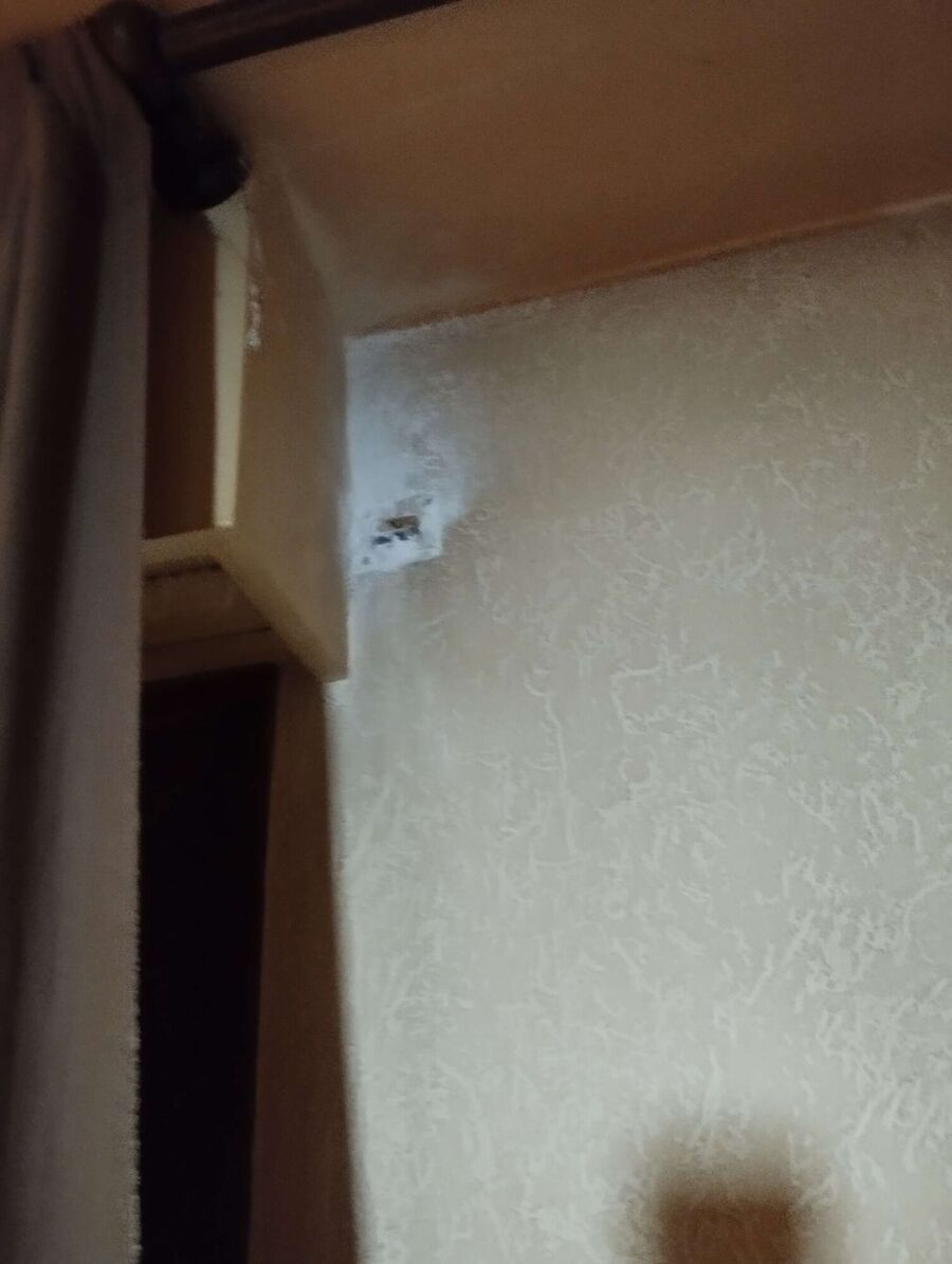  Bienennest entfernen.jpeg