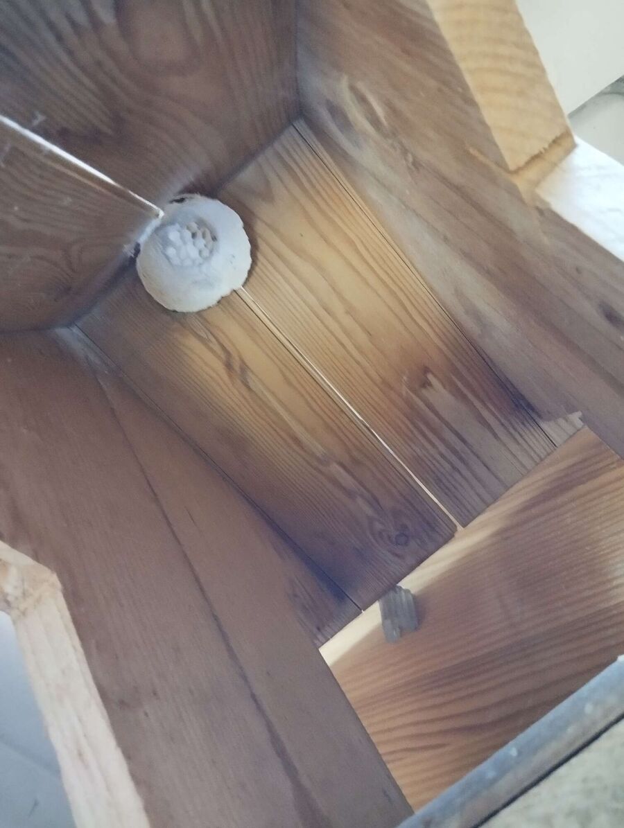  Bienennest entfernen