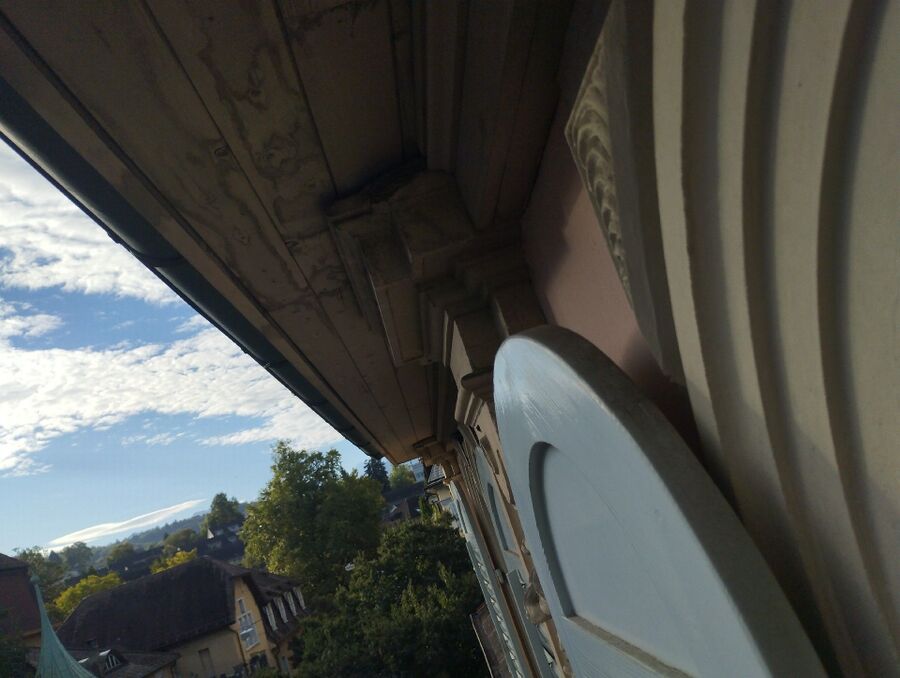  Bienennest entfernen