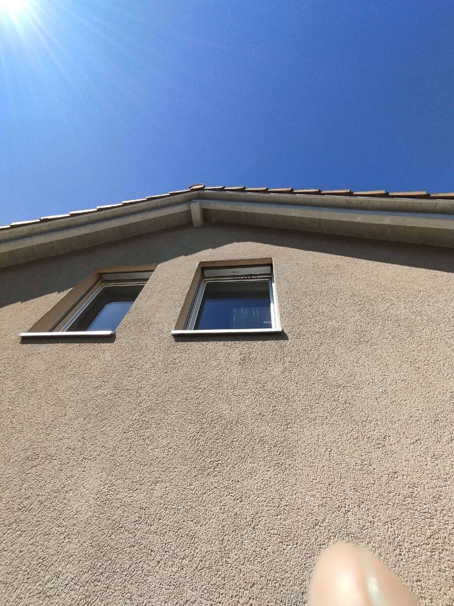 Bienen umsiedeln &  Bienennest entfernen 